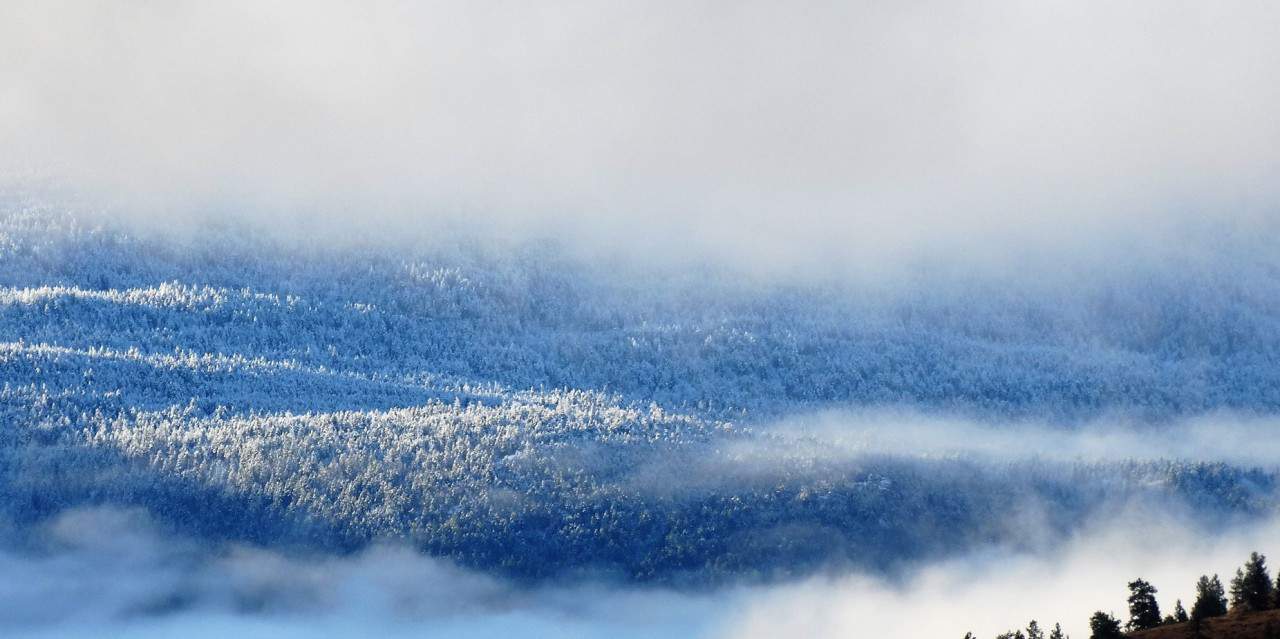 山景城的梅裏特公元前2023-02-14——冬天的風景景觀體驗,在冬天白雪覆蓋的小徑公元前梅裏特。