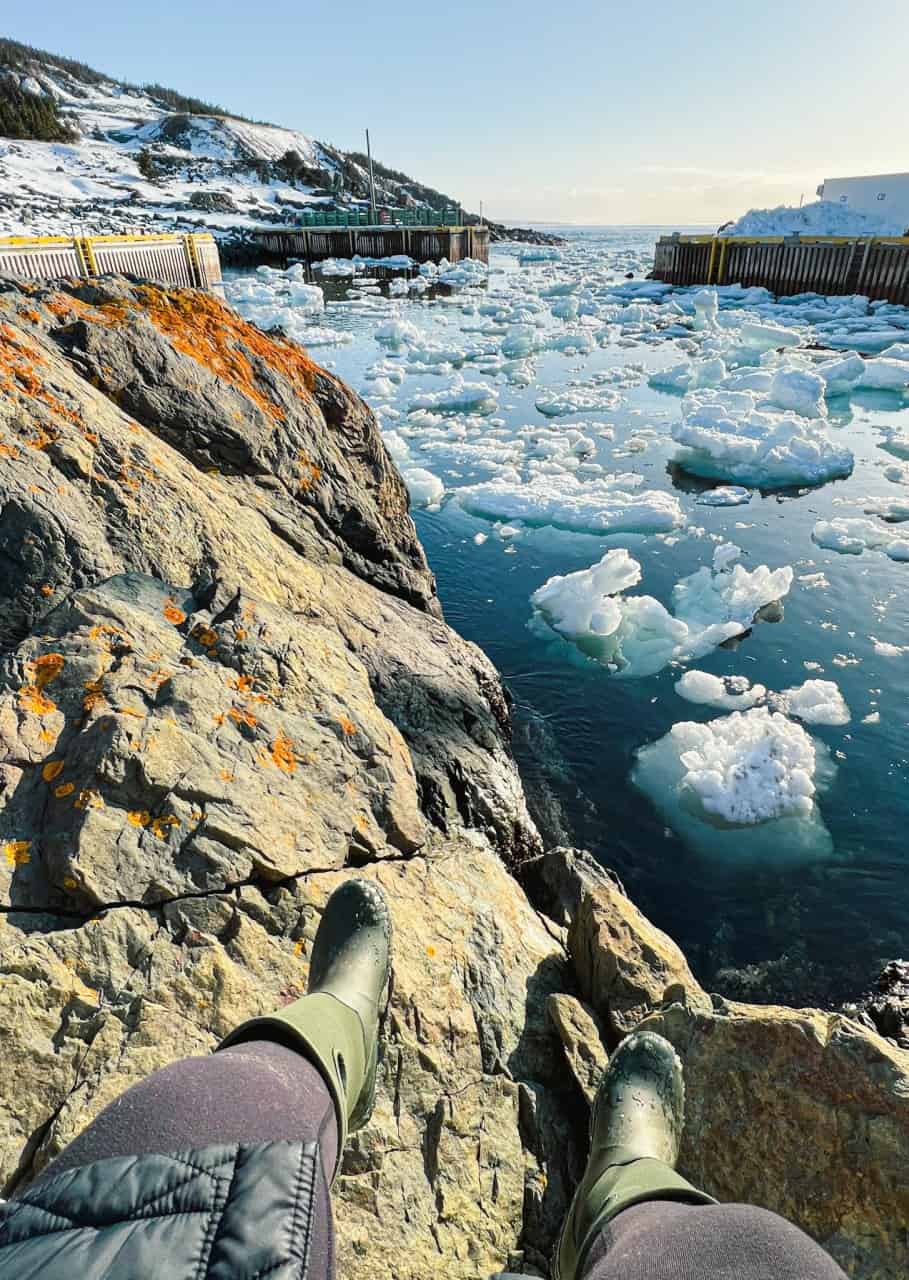 Sea ice filled the inlet in Bauline  - I sat on the rocks in the Spring sun for a long time watching the ice move gently with the swell of the sea.