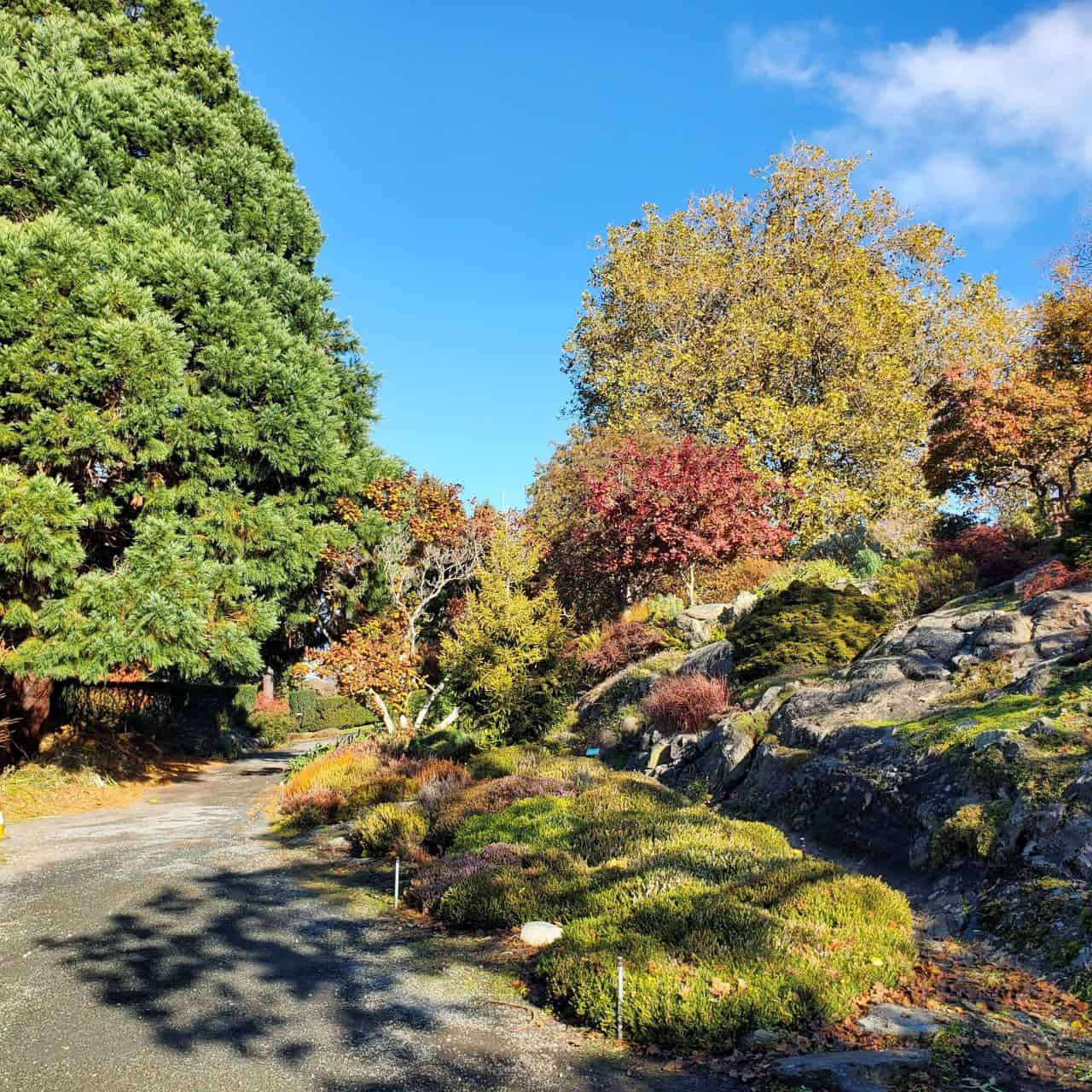 各種各樣的花園-在加拿大維多利亞州的政府大樓的地麵上，你會發現各種各樣的花園。一個美麗的地方。