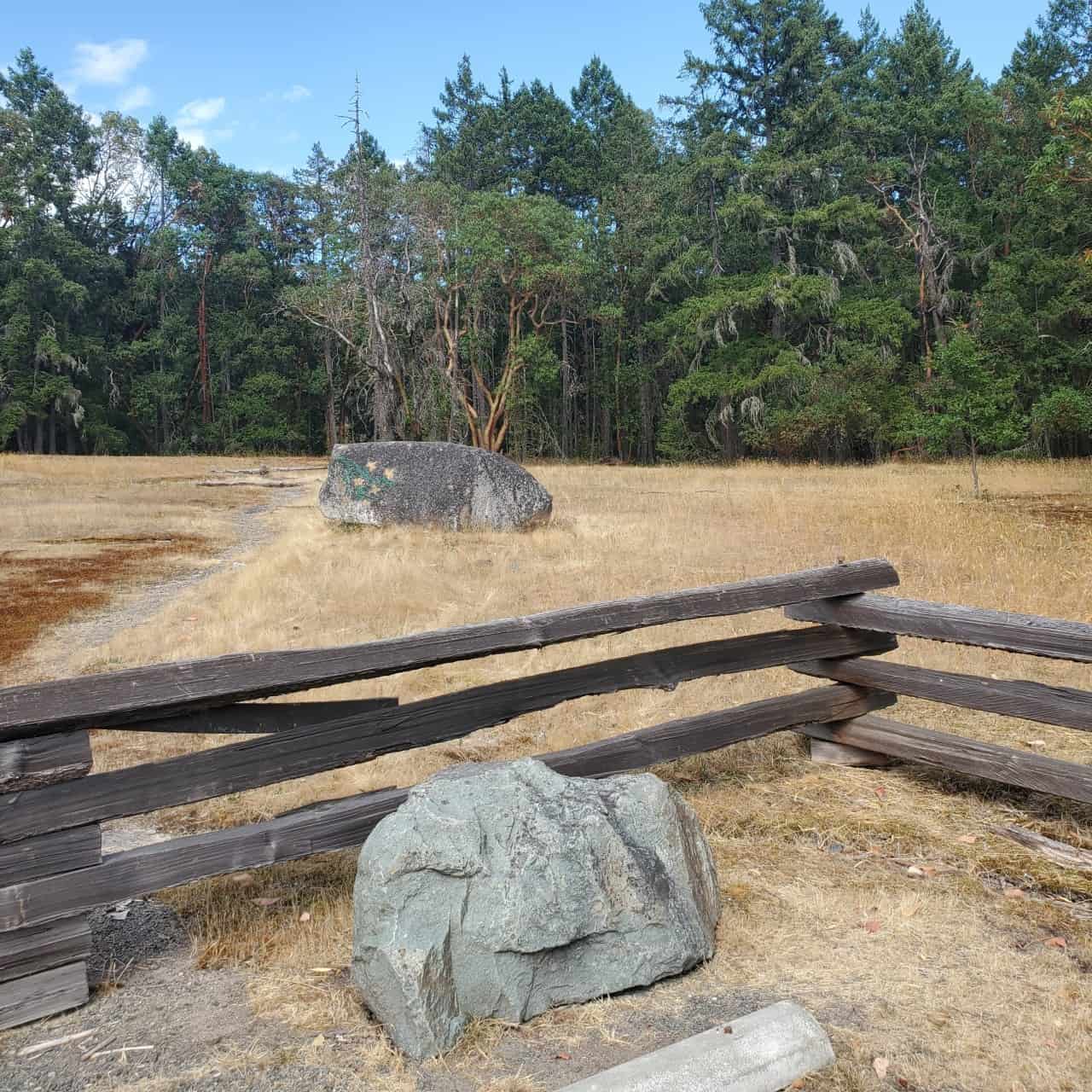 大石塊添加興趣公園——有幾個非常大的岩石在黃色點社區公園。我可以想象孩子爬上他們。